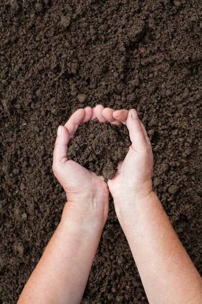 갈색 토양 배경에 흙을 가진 인간의 손