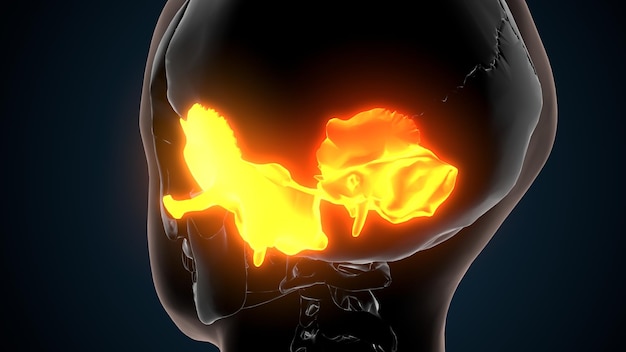 a human head with flames and a fire