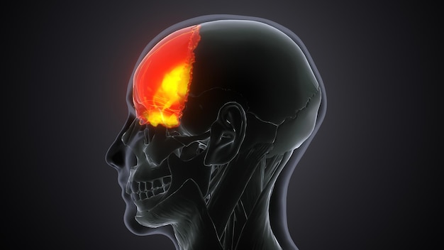 Photo a human head with a red spot on the upper left side