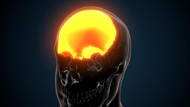 a human head with a yellow ball on it