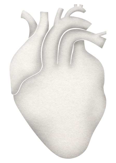 human heart png sticker white paper collage transparent background