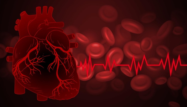 Human heart with red blood cells medical images medical background images