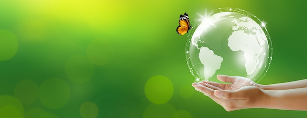 Human holding earth and butterfly over green blur background. World Environment and Green concept. Copy space.