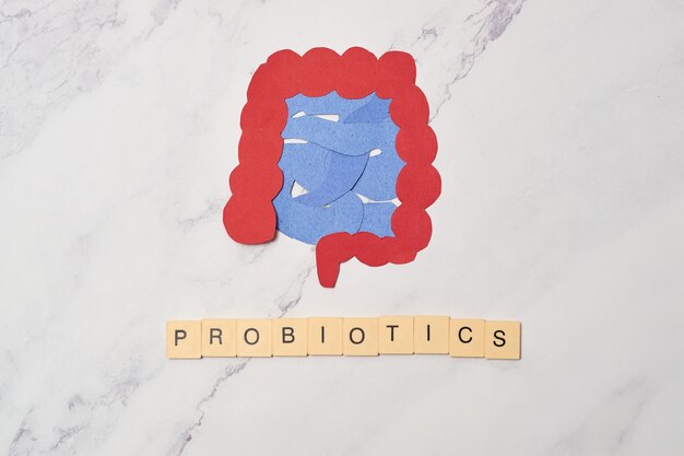 Human intestine probiotic concept and better digestion