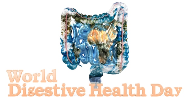Human intestine with Earth map texture World Digestive Health Day concept 3D rendering