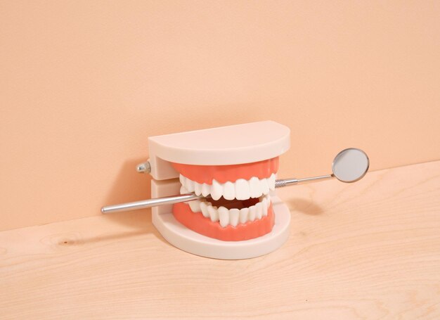 A human jaw and a dental mirror Dental health care