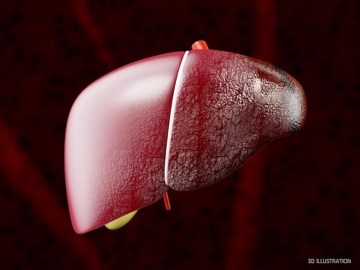Photo human liver damage anatomy, 3d illustration