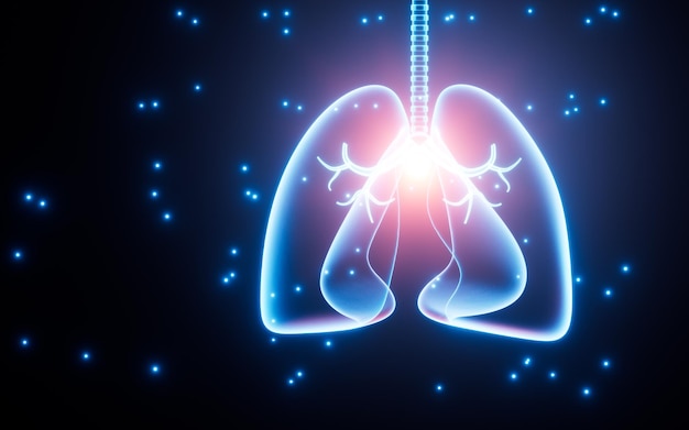 인간의 폐 호흡기 시스템 3d 렌더링