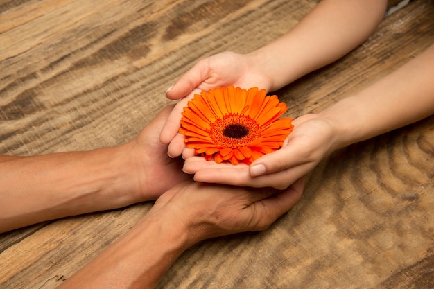 Human's hands holding decoration isolated on wooden background. Concept of celebration, holidays, family, home comfort. Gift for happy times.