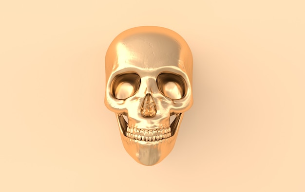 Human scull 3d rendering