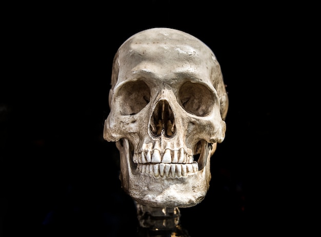 human scull on black isolate show history of human