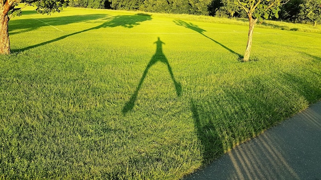 Photo human shadow on field