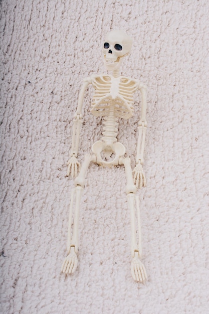 Foto modello di scheletro umano per l'anatomia medica concetto di clinica medica