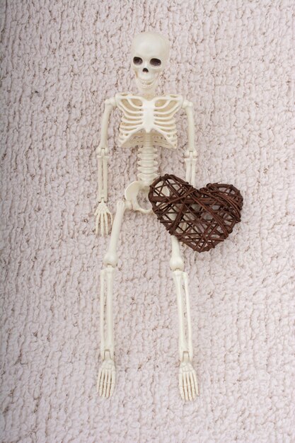 Photo human skeleton model posing with heart icon for medical anatomy science