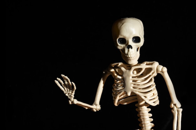 Human skeleton waving greeting hand isolated on black\
background day of the dead