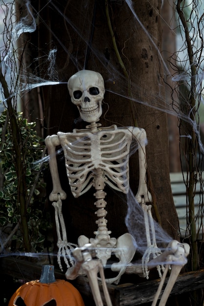 Human skeleton with halloween pumpkin on the ground