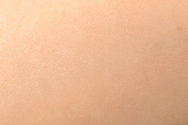 94,000+ Skin Texture Pictures
