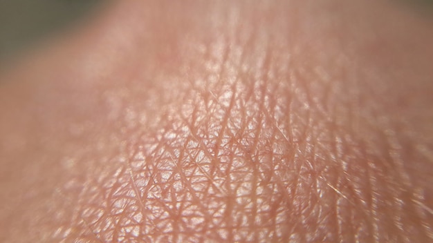 Photo human skin