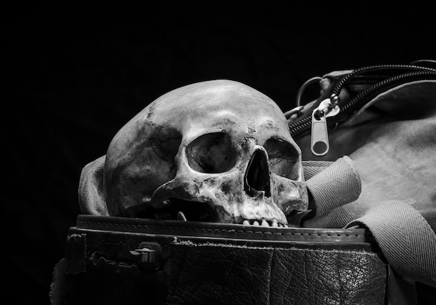 Human skull are placed in old leather box in black and white