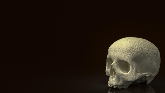 Il cranio umano su sfondo nero per l'istruzione o il concetto sci rendering 3d