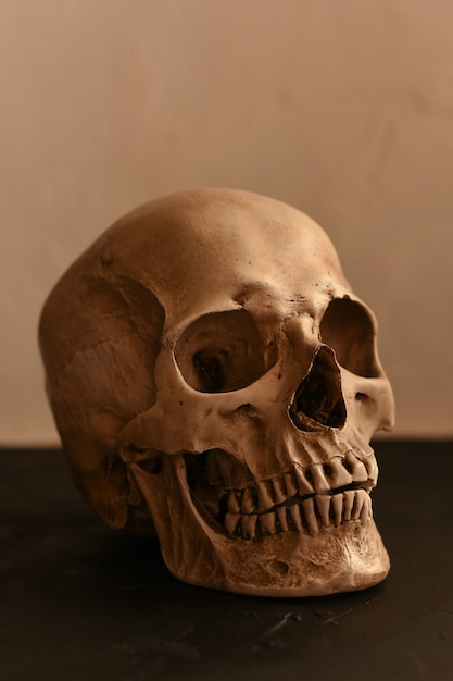 Human skull on a black