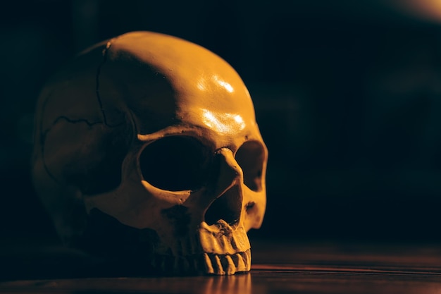 Человеческий череп на фоне темных тонов для использования в концепции Хэллоуина, страшный и смертельный стиль со старым белым костяным скелетом ужасов, настоящее анатомическое образование