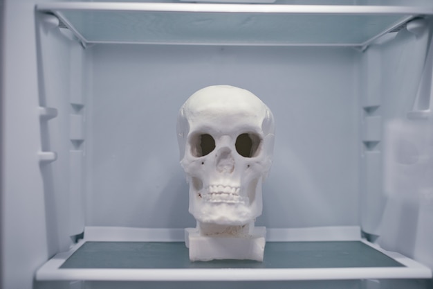 Human skull on empty refrigerator shelf