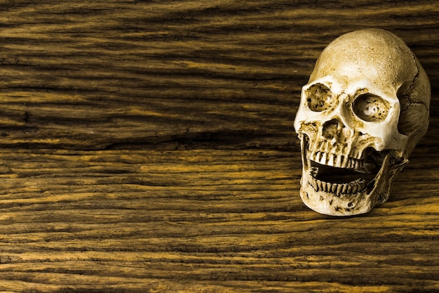 Human skull on old wood background