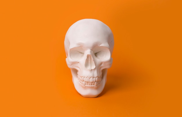 Human skull at the orange table with copy space