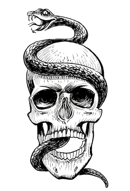 人間の頭蓋骨と毒蛇。インク白黒描画