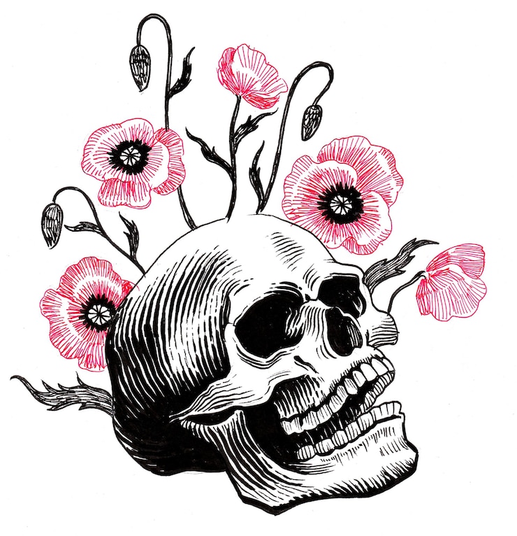 Photo 人間の頭蓋骨とケシの花。インク描画