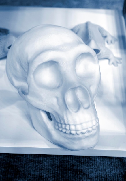 Photo human skull printed on 3d printer from plastic closeup 3d printing technology