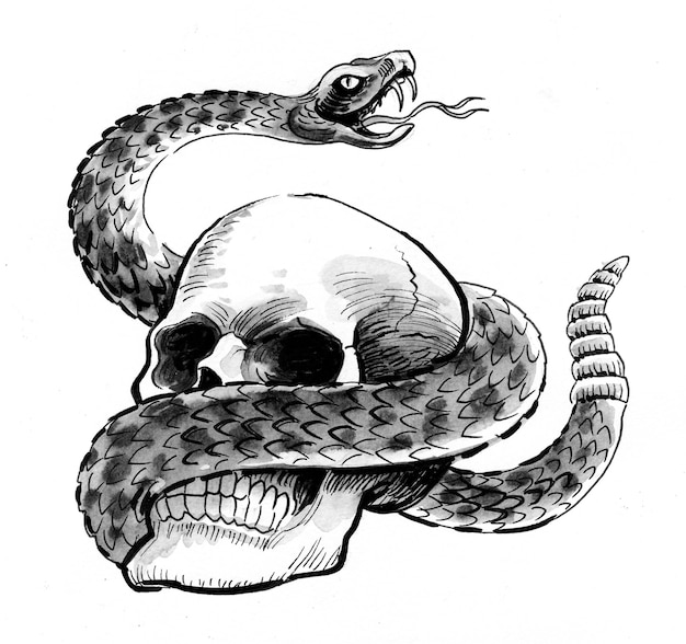 Photo human skull and rattle snake. ink and watercolor drawing