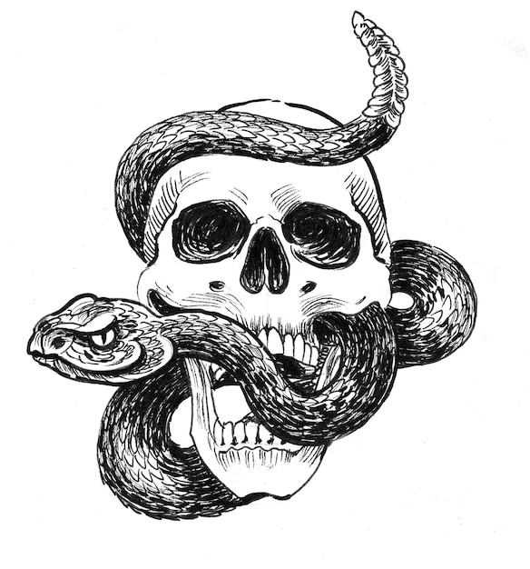 Human skull and rattlesnake. Ink black and white drawing