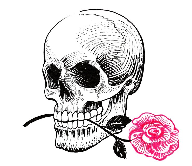 Photo 人間の頭蓋骨と赤いバラの花。インク描画