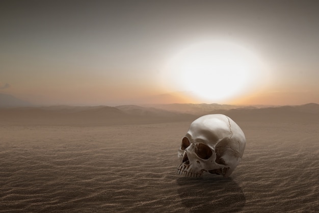 Human skull on the sand dune with the dramatic scene background