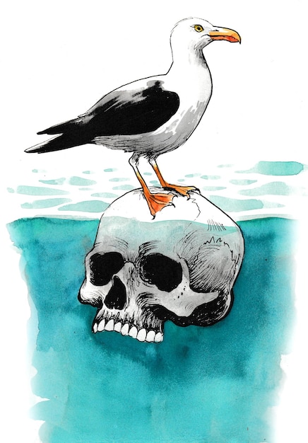 Photo human skull and seagull. ink and watercolor drawing