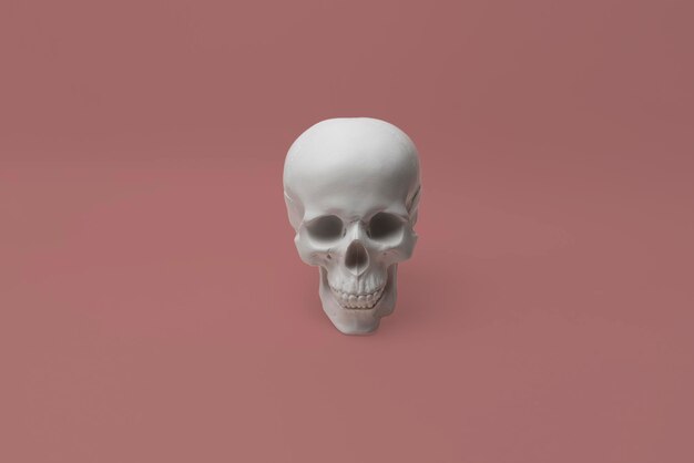 写真 人間の頭蓋骨ハロウィーンの創造的な概念と幸せな休日