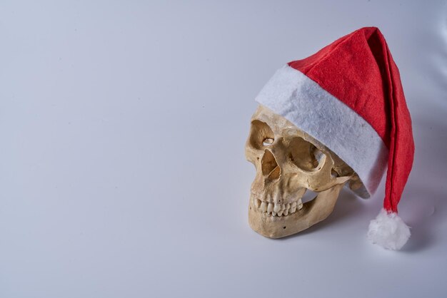 Human skull wearing a red and white Santa hat on a white isolated background.