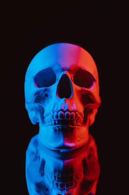 Human skull with a mirror reflection with colored neon light