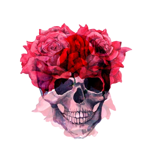 赤いバラの花を持つ人間の頭蓋骨。