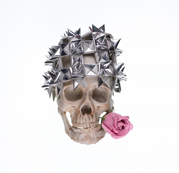 Фото Человеческий череп с розой на белом фоне