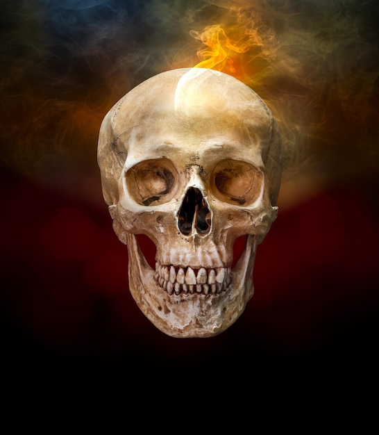 暗い色の背景に煙と人間の頭蓋骨