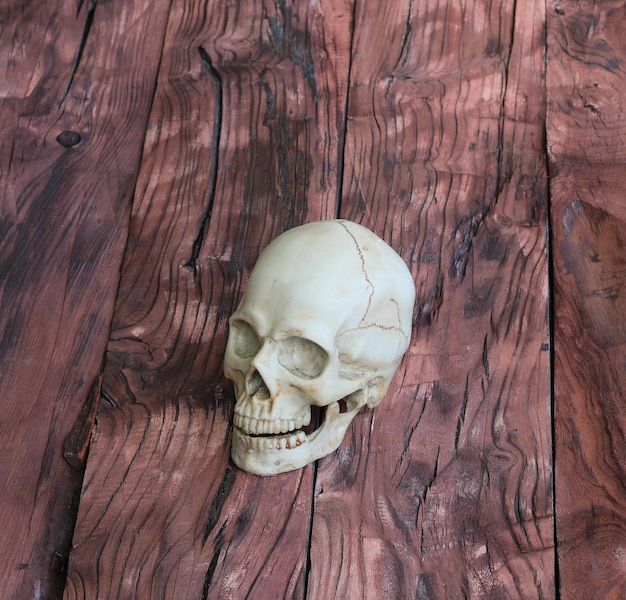 Photo human skull on wooden background