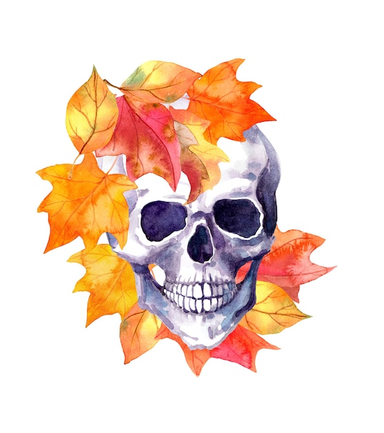 Foto cranio umano, foglie di autunno gialle. illustrazione dell'acquerello