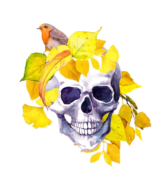 Человеческий череп в желтых осенних листьях с птицей. Акварель