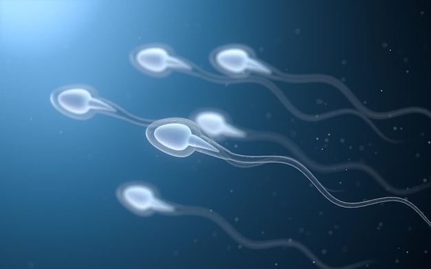 Foto rappresentazione 3d degli spermatozoi umani