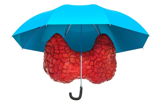 Human thyroid under umbrella protect concept 3D rendering isolated on white background