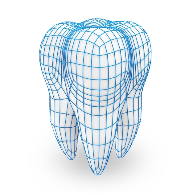 Человеческий зуб с концепцией защиты сетки