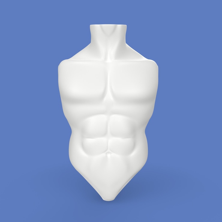 Фотография 3d моделирование торса человека